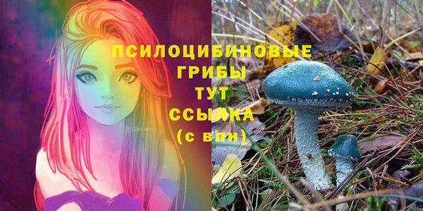 стаф Покров