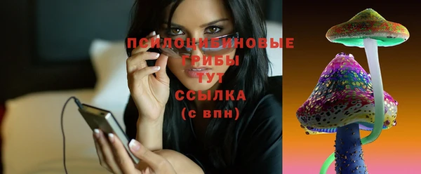 стаф Покровск
