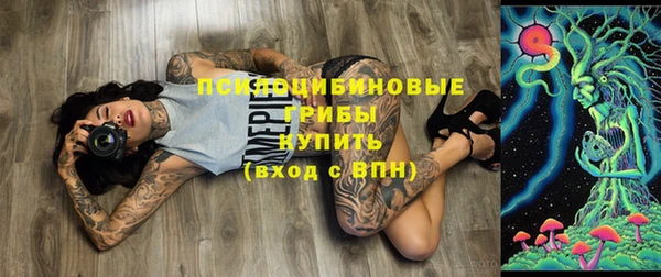 стаф Покровск