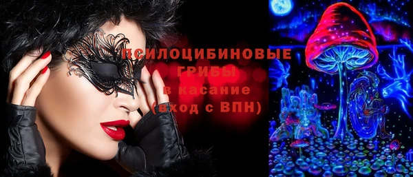 стаф Покровск
