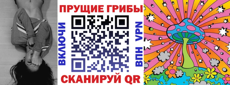 Псилоцибиновые грибы прущие грибы  Богданович 