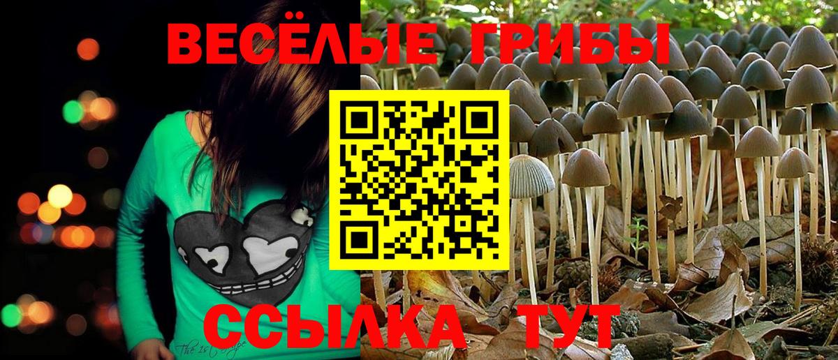 Богданович  Псилоцибиновые грибы Cubensis  Вход с VPN 