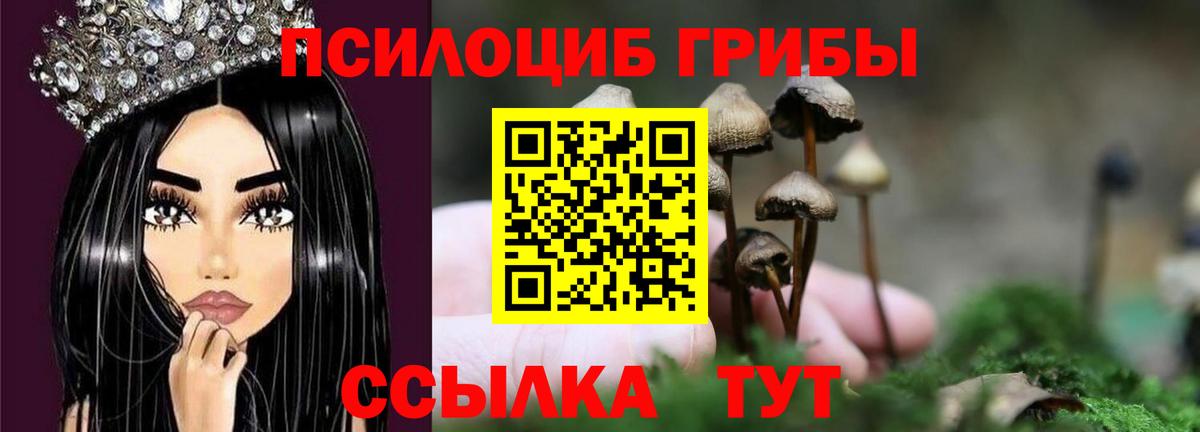 Псилоцибиновые грибы MAGIC MUSHROOMS Богданович