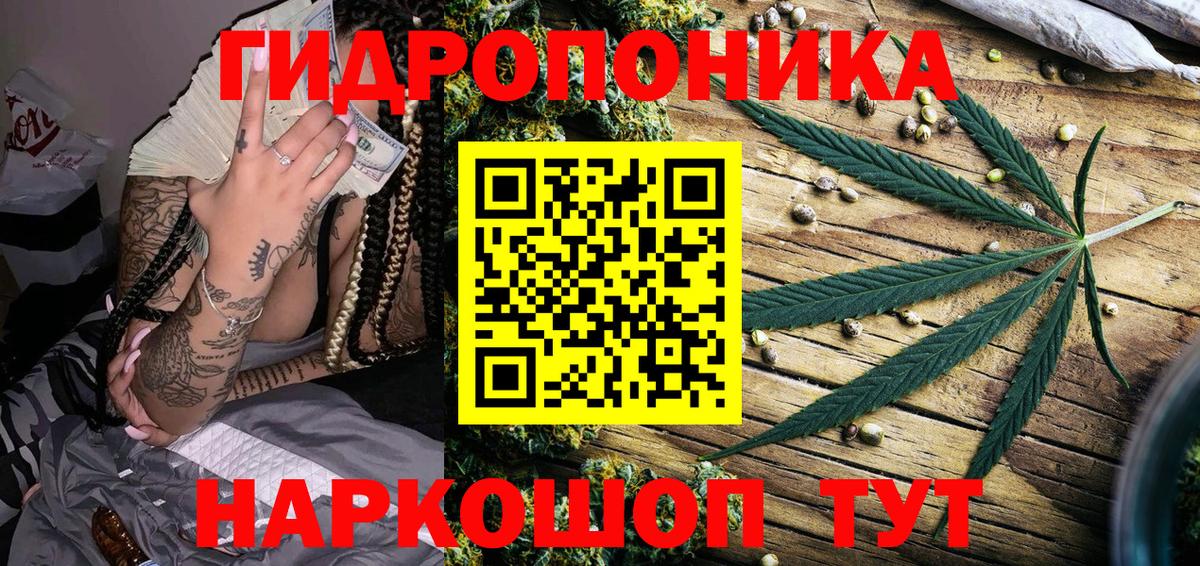 Бошки марихуана гибрид  Марихуана Bruce Banner  Бошки марихуана THC 21%  Богданович  Канабис VHQ 